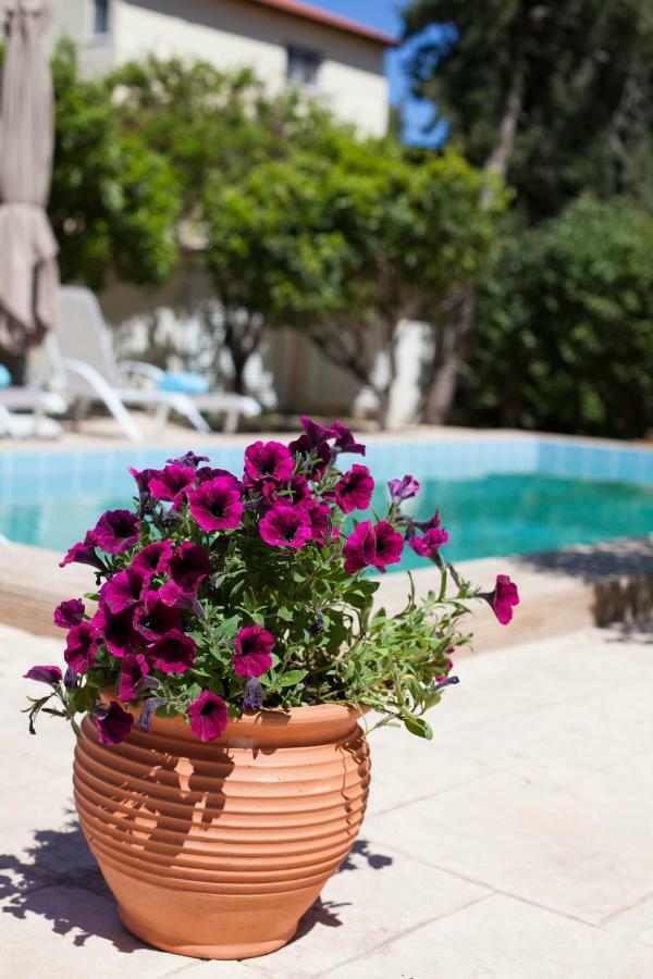 Sunny Rhodes Villa